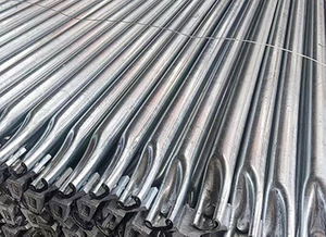 Scaffold Ledder
